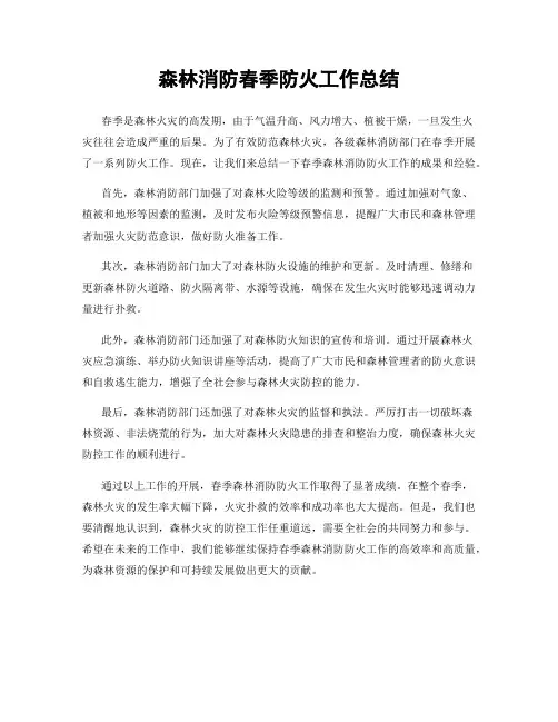 森林消防春季防火工作总结