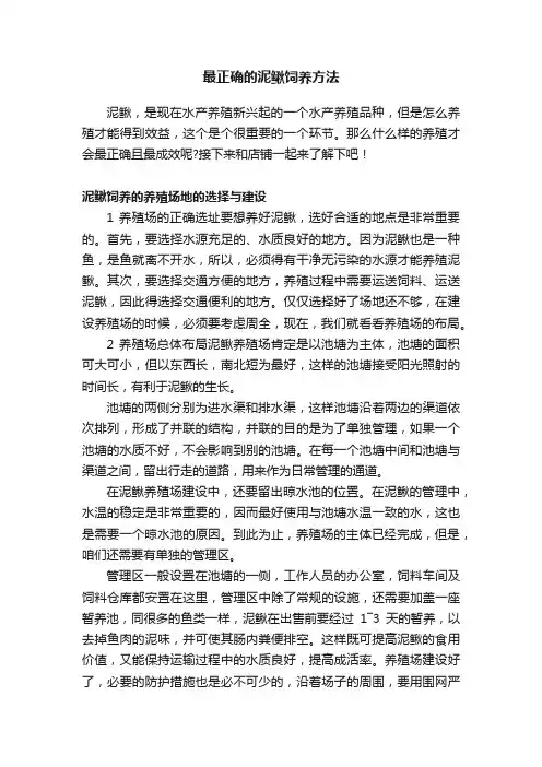 最正确的泥鳅饲养方法