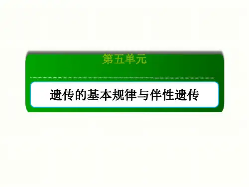 新高考生物一轮复习课件第17讲人类遗传病1