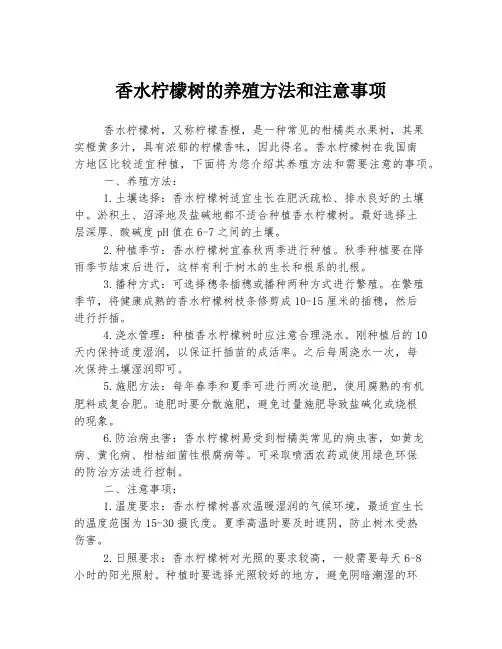 香水柠檬树的养殖方法和注意事项