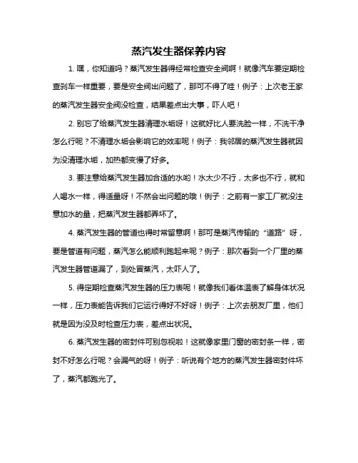 蒸汽发生器保养内容