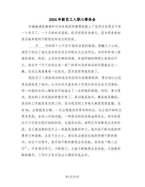 2024年新员工入职心得体会(2篇)