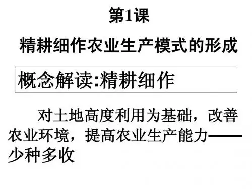 第1课 精耕细作农业生产模式的形成