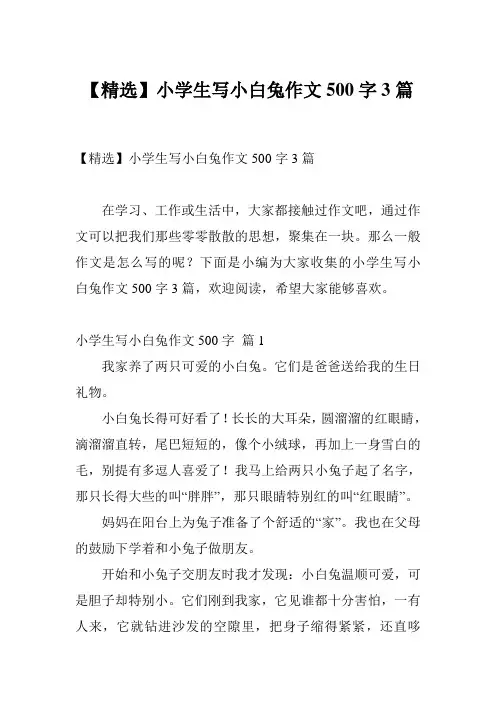 【精选】小学生写小白兔作文500字3篇