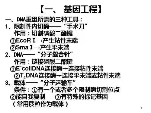高中生物选修三复习PPT课件
