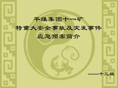 平煤集团十一矿
