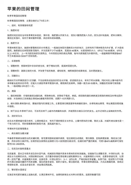 苹果的田间管理
