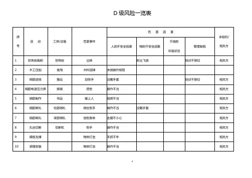 D级风险一览表