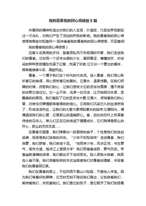 我的青春我的团心得感悟5篇