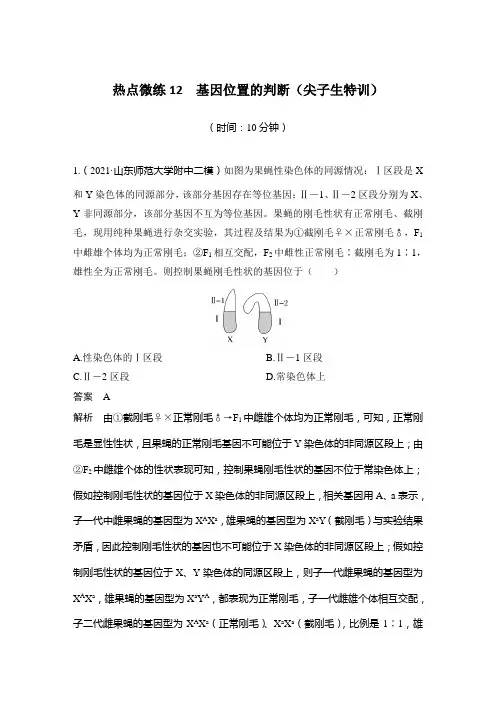 热点微练12 基因位置的判断(尖子生特训)