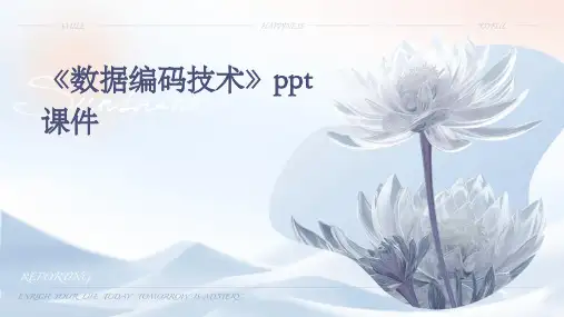 《数据编码技术》课件