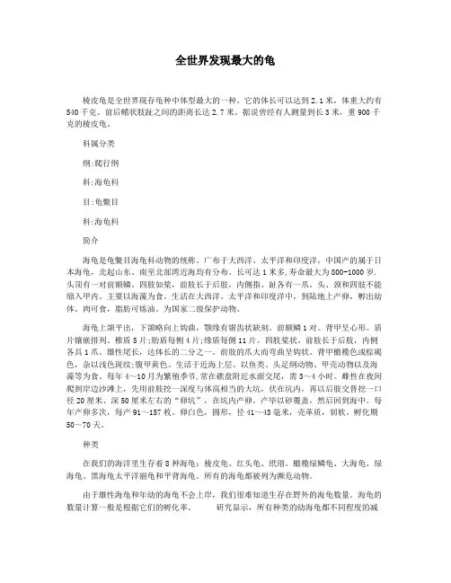 全世界发现最大的龟