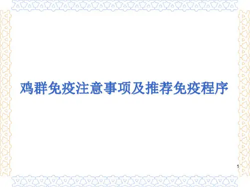 鸡群免疫注意事项及推荐免疫程序ppt课件