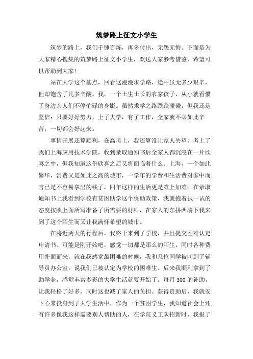 筑梦路上征文小学生