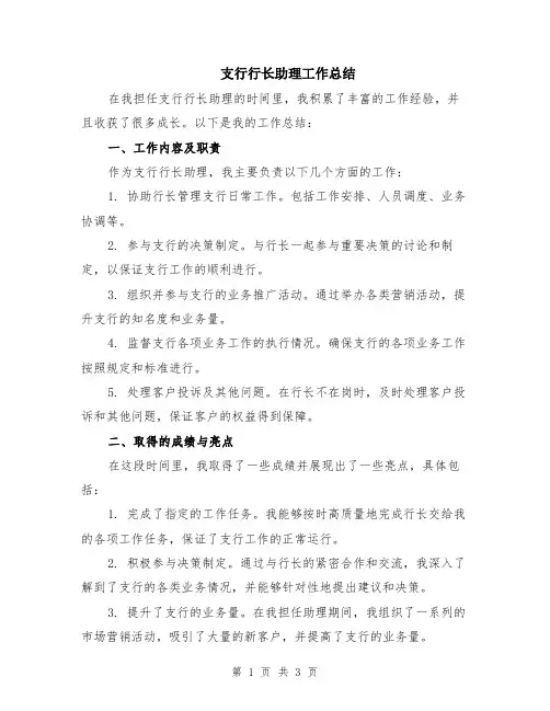 支行行长助理工作总结
