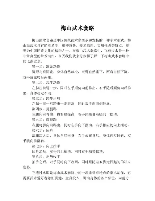 梅山武术套路