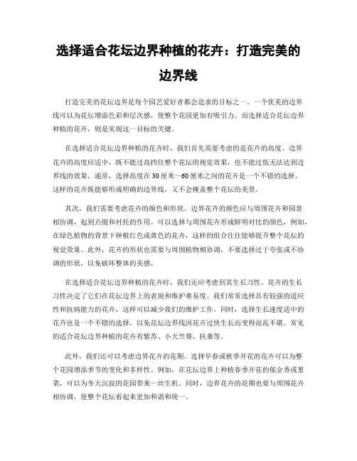 选择适合花坛边界种植的花卉：打造完美的边界线