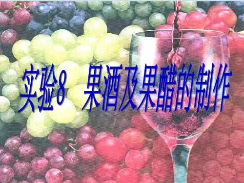 实验8果酒及果醋的制作