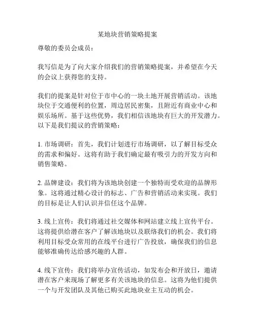 某地块营销策略提案
