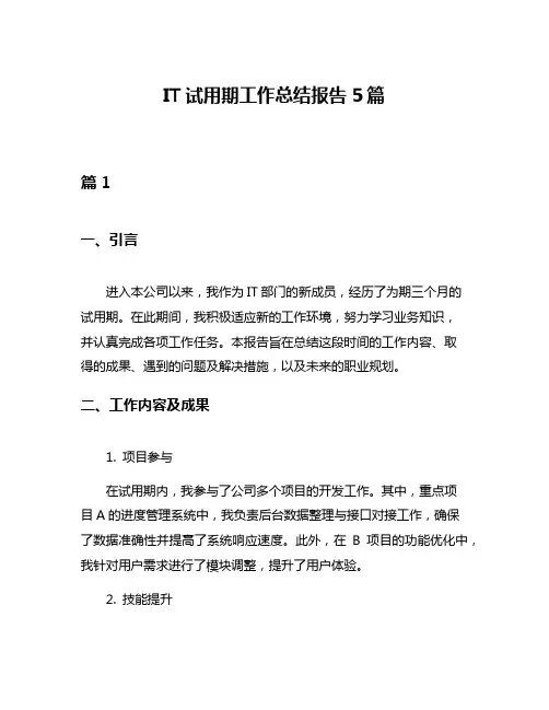 IT试用期工作总结报告5篇