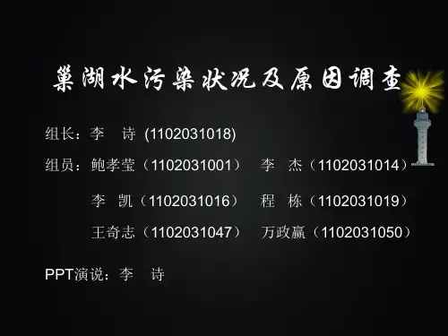 巢湖水污染现状及原因调查