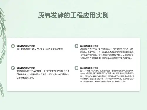 厌氧发酵的工程应用实例