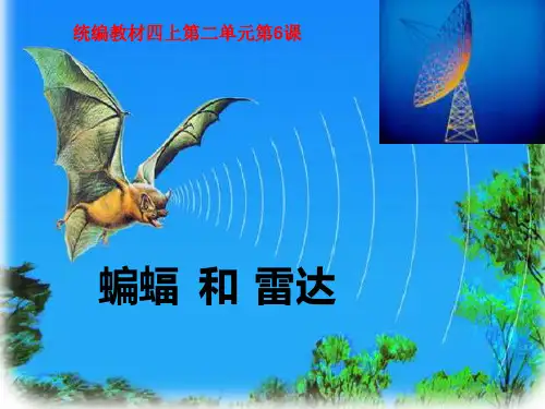 《蝙蝠和雷达》ppt精品课件部编版小学语文1