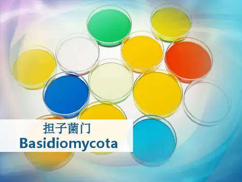 担子菌(1)