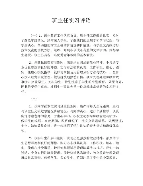 班主任实习评语