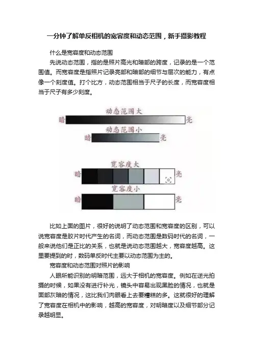 一分钟了解单反相机的宽容度和动态范围，新手摄影教程