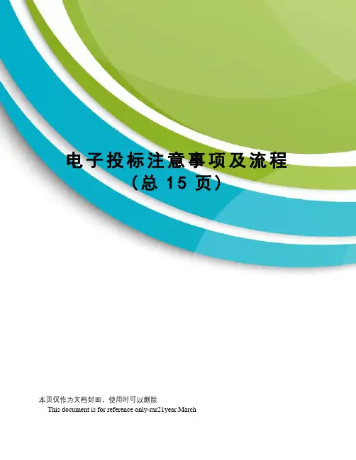 电子投标注意事项及流程