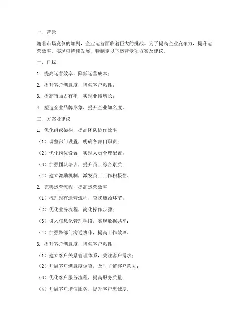 运营专项方案及建议范文