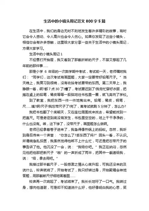 生活中的小镜头周记范文800字5篇