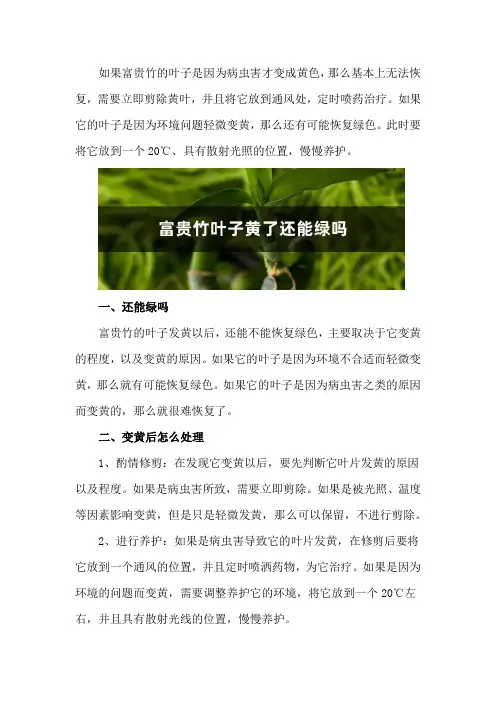 富贵竹叶子黄了还能绿吗