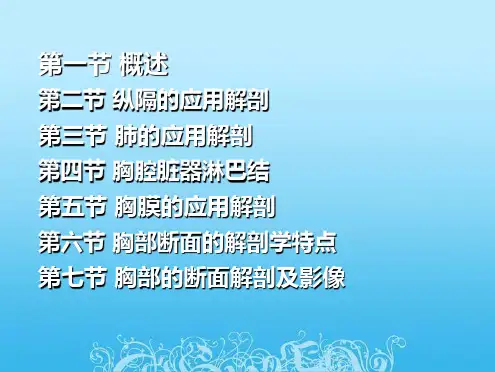 2015-胸部断层解剖-大课