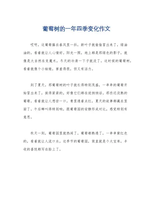 葡萄树的一年四季变化作文