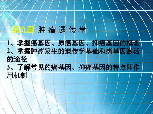 肿瘤遗传学课件
