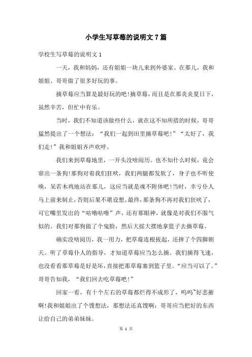 小学生写草莓的说明文7篇