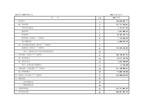 2024年利润表模板