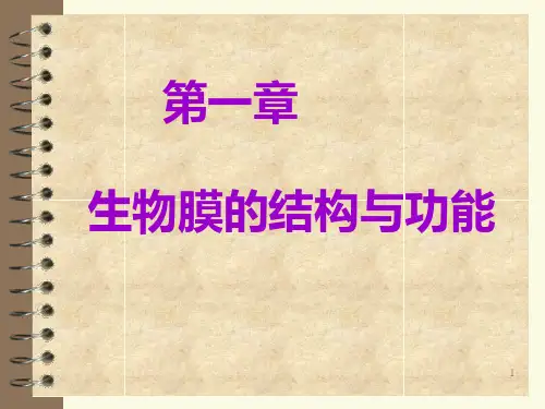 生物膜的结构与功能(1)