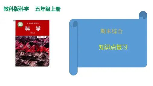 教科版(2017秋)五年级科学上册期末综合复习(课件37张ppt)