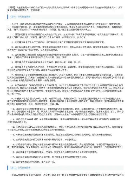 公司自查报告5篇