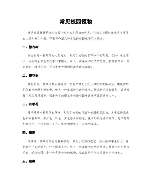 常见校园植物