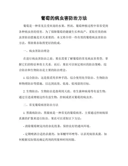 葡萄的病虫害防治方法