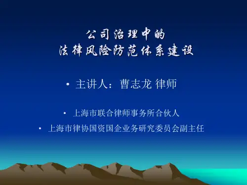 公司治理中的法律风险体系建设实务-上海律师学院