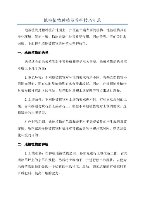 地被植物种植及养护技巧汇总