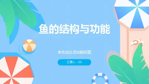 鱼的结构与功能