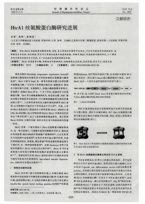 HtrA1丝氨酸蛋白酶研究进展