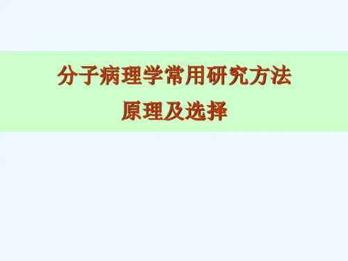 分子病理学常用研究技术原理及应用