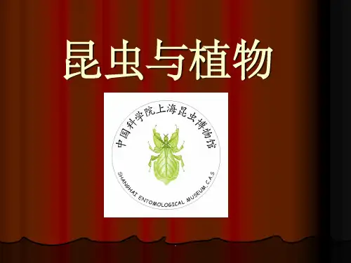 昆虫与植物ppt课件